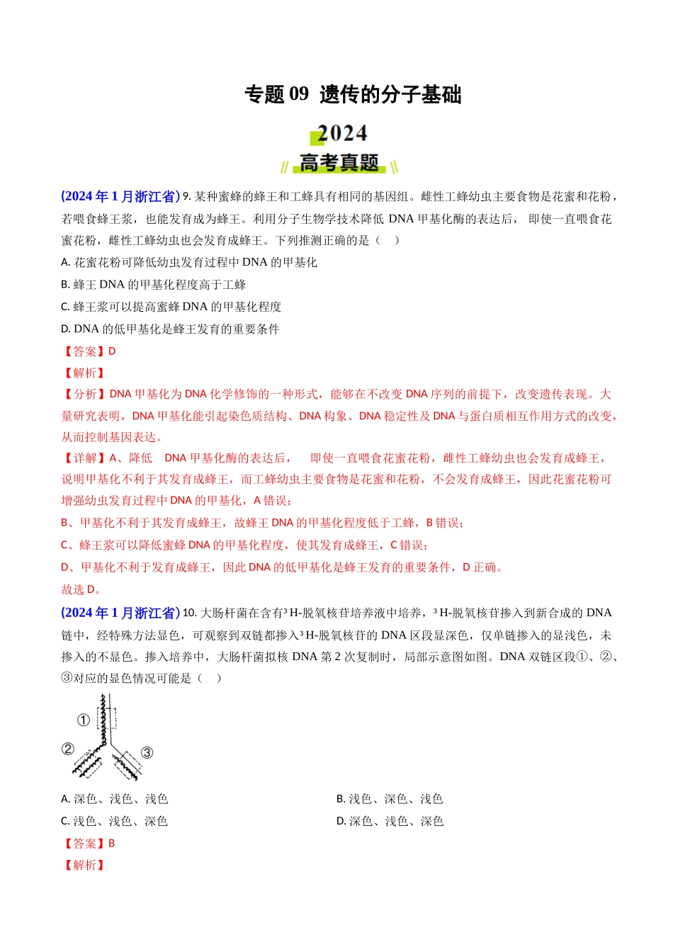 专题09 遗传的分子基础-2024年高考真题和模拟题生物分类汇编（教师卷）.docx_第1页
