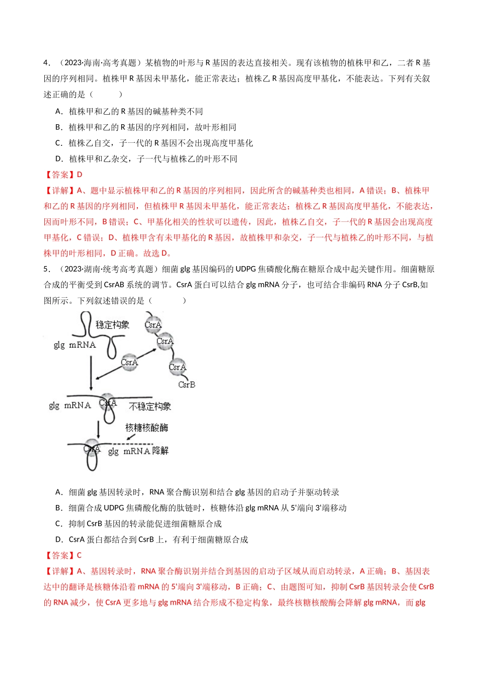 专题10 遗传的分子基础（解析卷）.docx_第3页