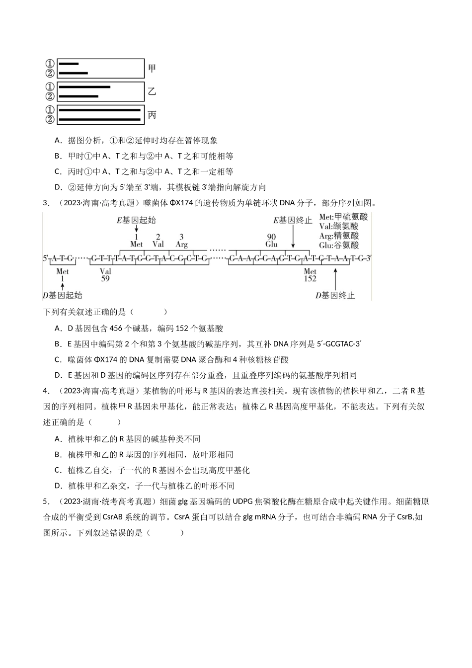 专题10 遗传的分子基础（原卷卷）.docx_第2页