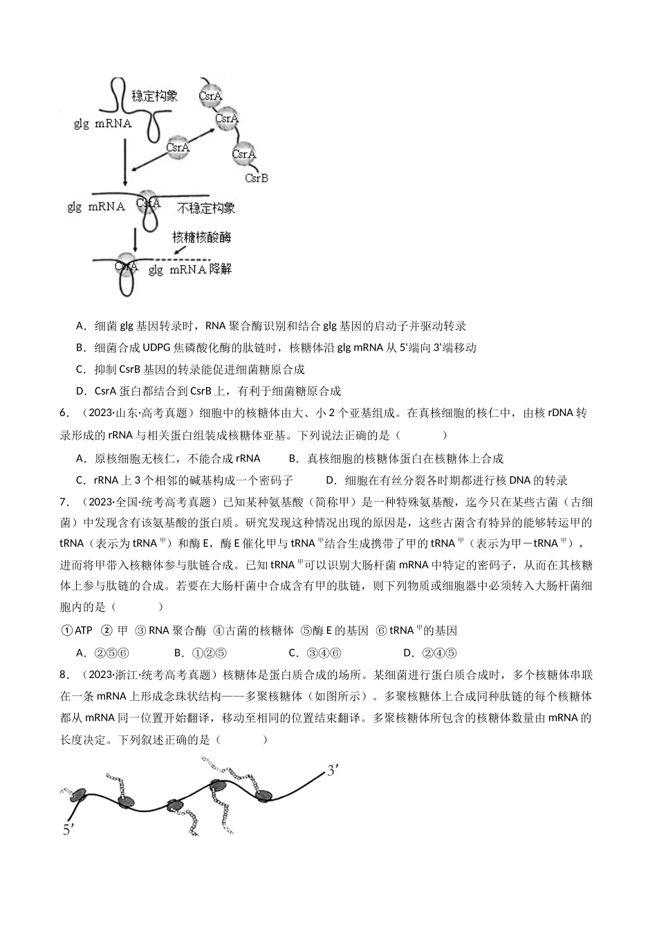 专题10 遗传的分子基础（原卷卷）.docx_第3页