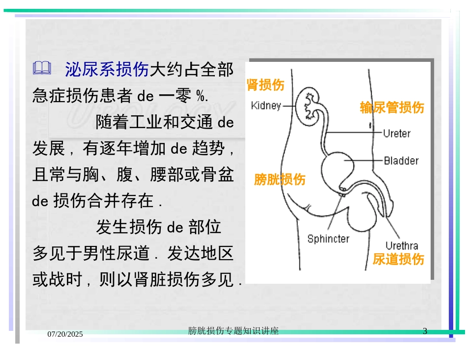 膀胱损伤专题知识讲座培训课件.pptx_第3页