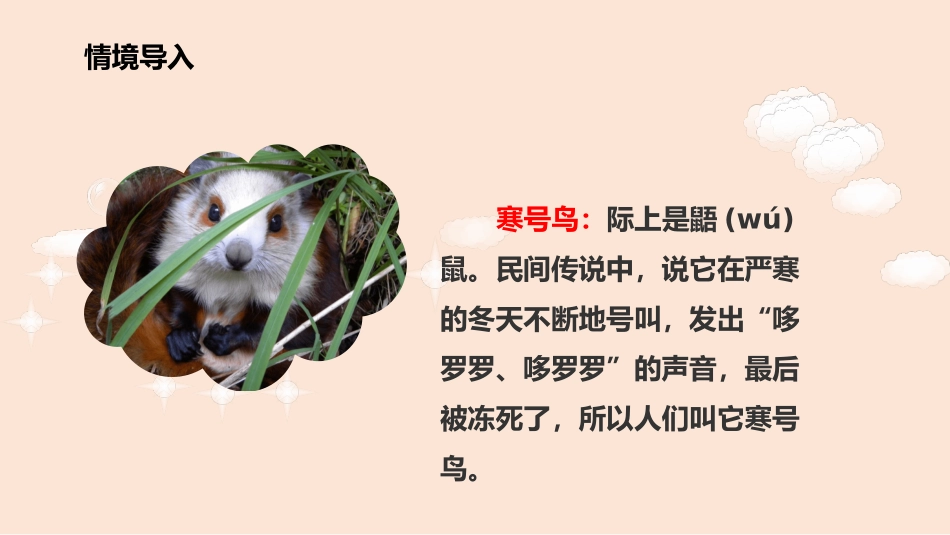 部编版二年级上册语文《寒号鸟》课件1.pptx_第2页