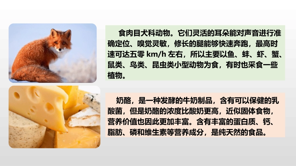 部编版二年级上册语文《狐狸分奶酪》课件3.pptx_第2页