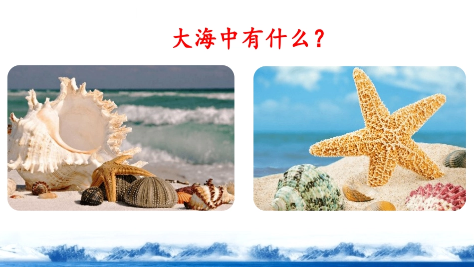 部编版二年级下册语文《贝的故事》课件8.pptx_第3页