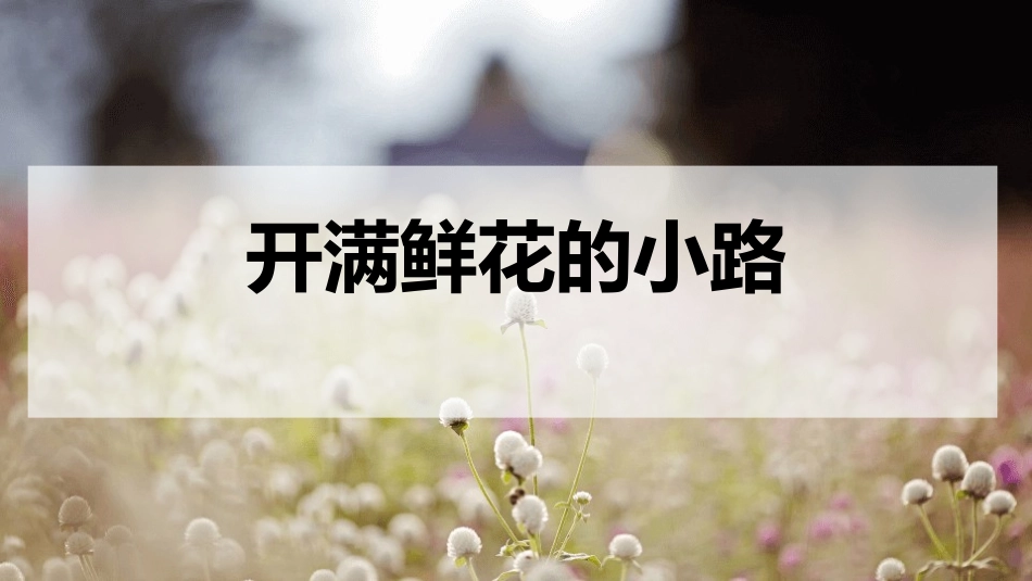 部编版二年级下册语文《开满鲜花的小路》课件2.pptx_第1页