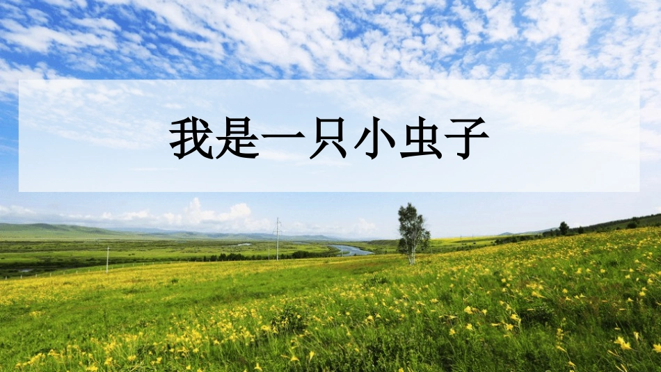 部编版二年级下册语文《我是一只小虫子》课件1.pptx_第1页