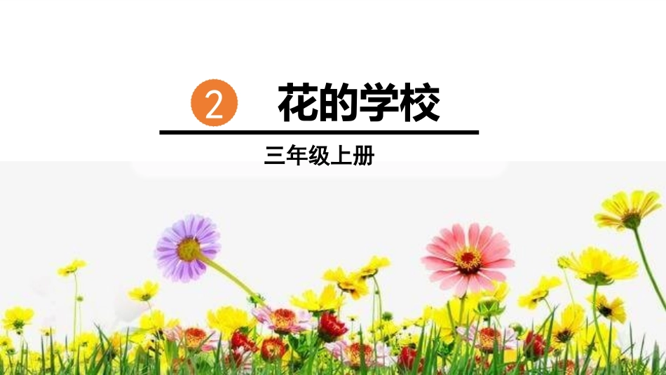 部编版三年级上册语文《花的学校》PPT课件6.pptx_第1页