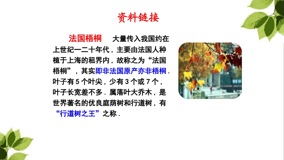 部编版三年级上册语文《铺满金色巴掌的水泥道》PPT课件7.pptx_第3页