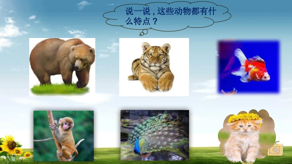 部编版四年级上册语文《小小动物园》PPT课件5.pptx_第2页