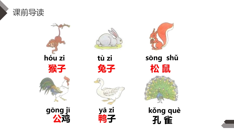 部编版一年级上册语文《比尾巴》课件6.pptx_第2页