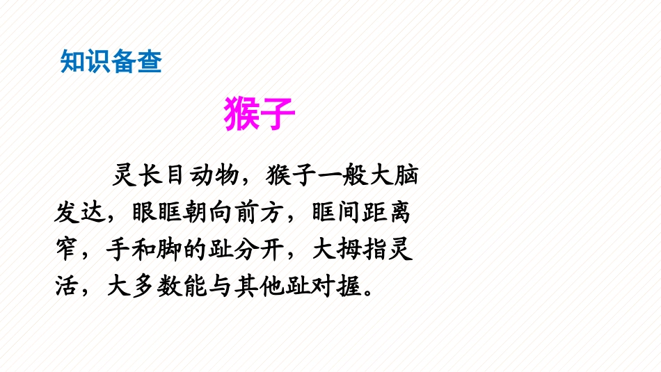 部编版一年级下册语文《小猴子下山》课件4.pptx_第3页