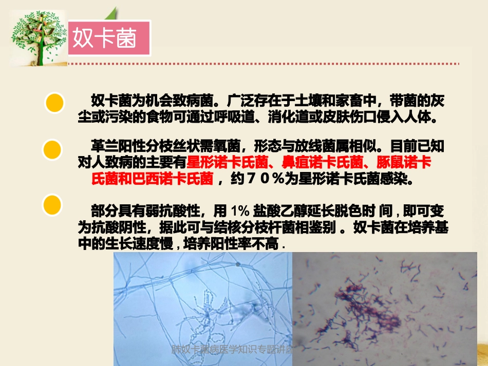 肺奴卡菌病医学知识专题讲座培训课件.pptx_第3页