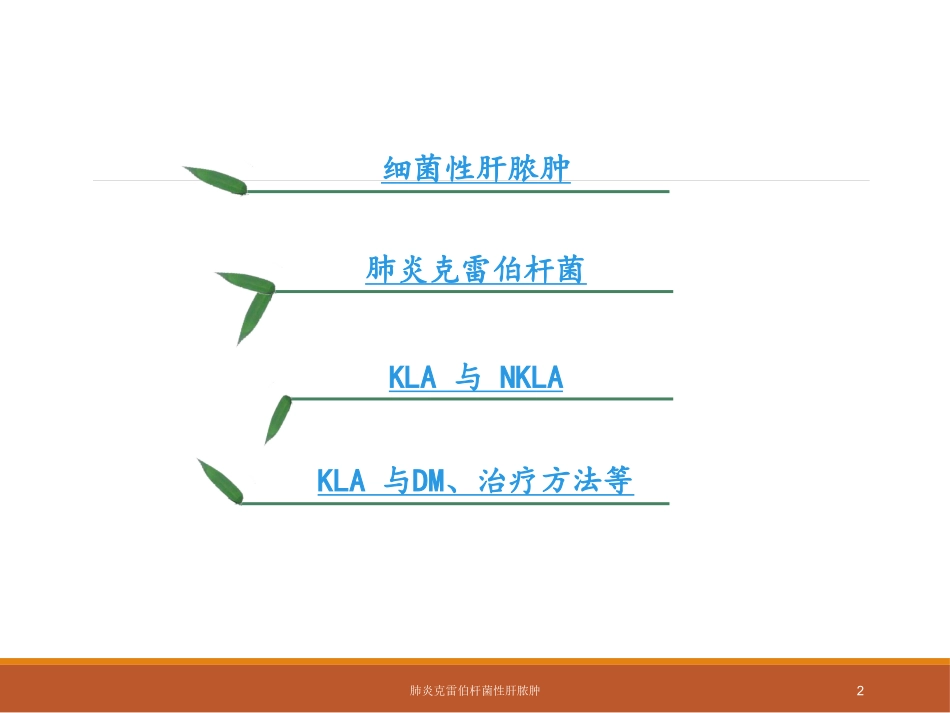 肺炎克雷伯杆菌性肝脓肿培训课件.pptx_第2页