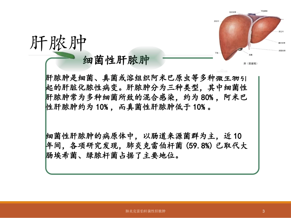 肺炎克雷伯杆菌性肝脓肿培训课件.pptx_第3页