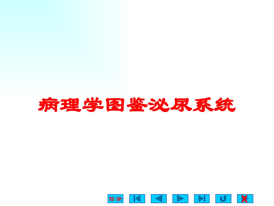 病理学图鉴泌尿系统培训课件.pptx_第1页