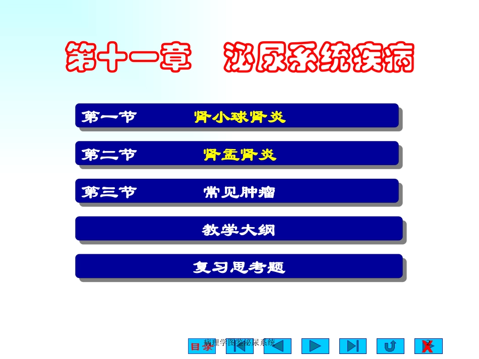 病理学图鉴泌尿系统培训课件.pptx_第2页