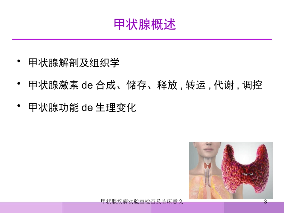 甲状腺疾病实验室检查及临床意义培训课件.pptx_第3页