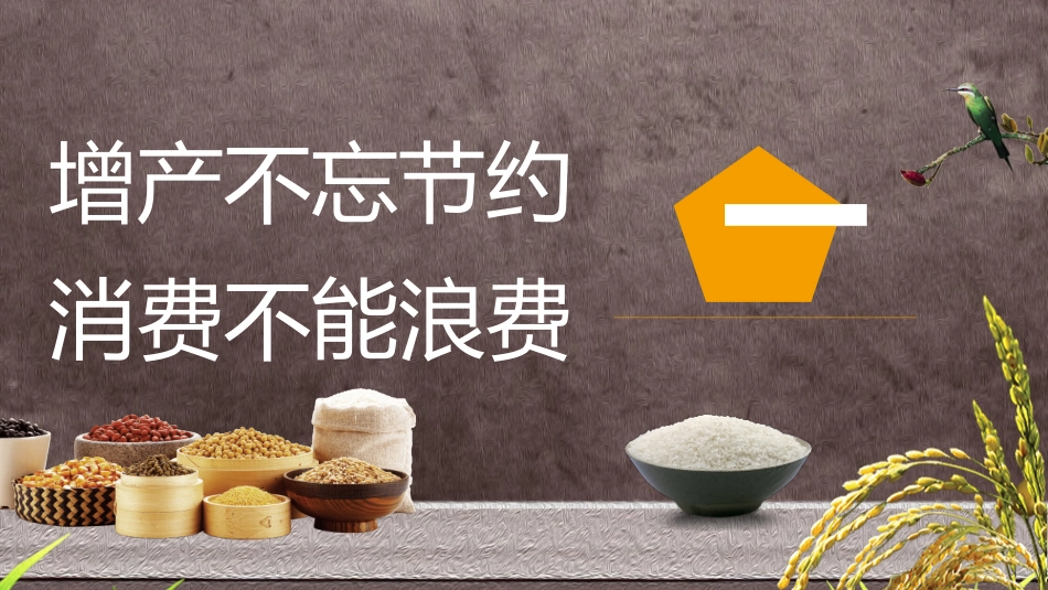 节约粮食光盘行动模板.pptx_第3页