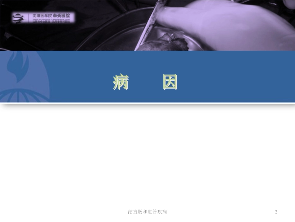 结直肠和肛管疾病培训课件.pptx_第3页