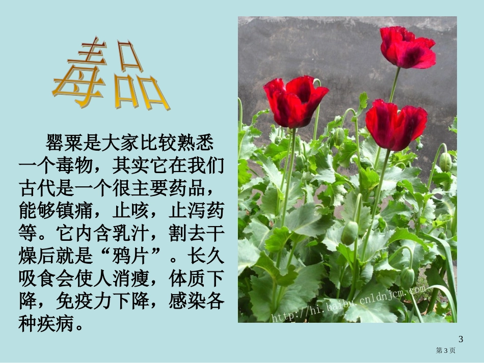 禁毒主题班会名师优质课赛课一等奖市公开课获奖课件.pptx_第3页