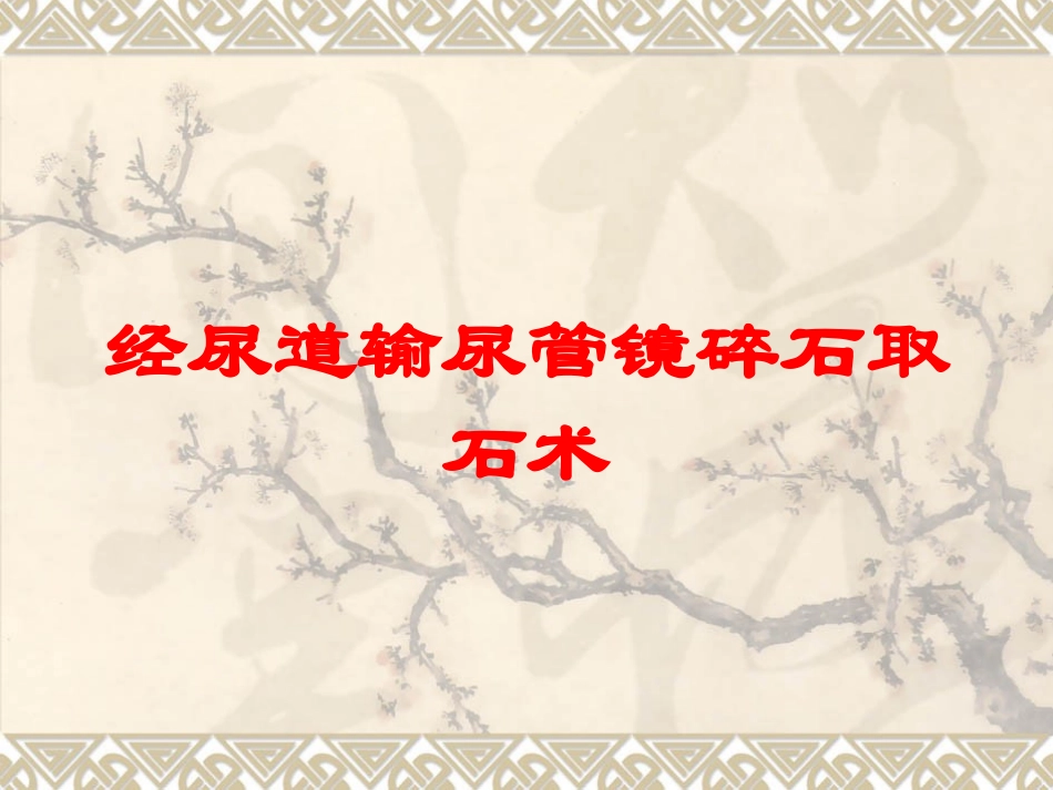 经尿道输尿管镜碎石取石术培训课件.pptx_第1页