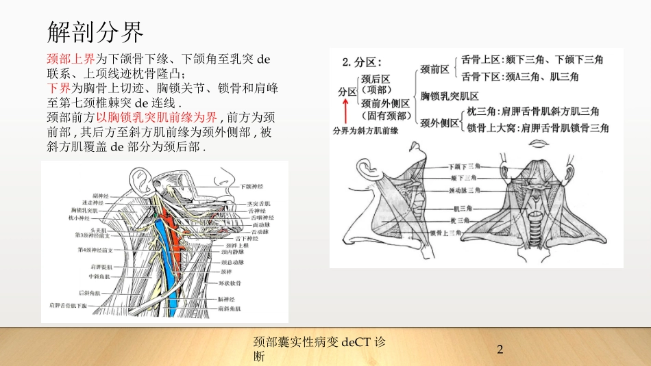 颈部囊实性病变的CT诊断培训课件.pptx_第2页