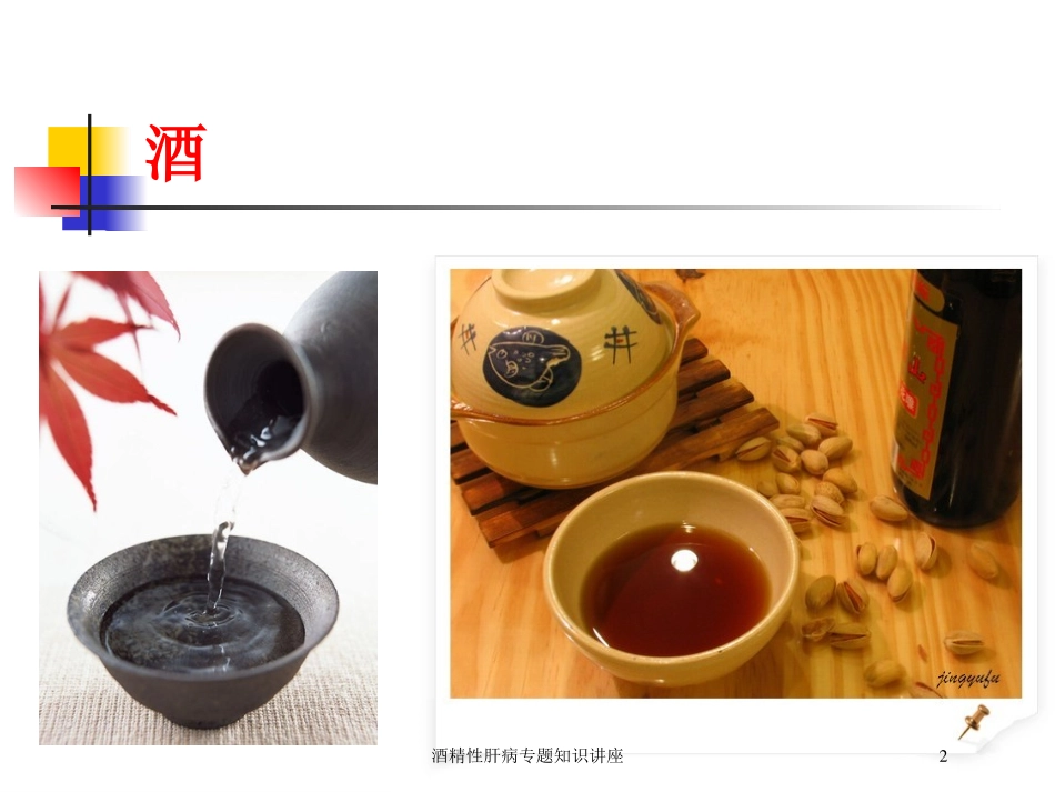 酒精性肝病专题知识讲座培训课件.pptx_第2页