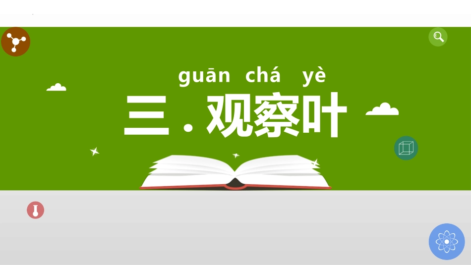 科版一年级科学上册《观察叶》优秀课件 2.pptx_第1页