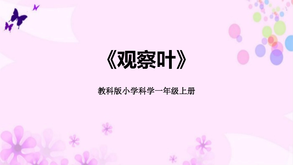 科版一年级科学上册《观察叶》优秀课件 3.pptx_第1页