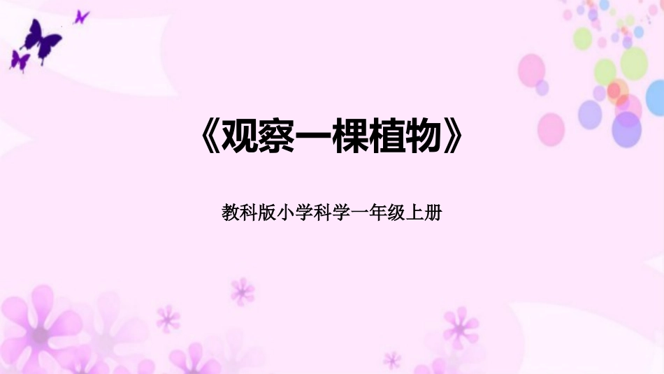 科版一年级科学上册《观察一棵植物》课件6.pptx_第1页