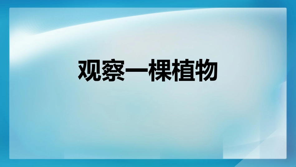 科版一年级科学上册《观察一棵植物》课件7.pptx_第1页