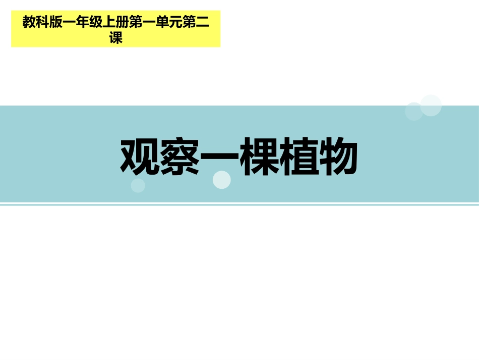 科版一年级科学上册《观察一棵植物》课件9.pptx_第1页