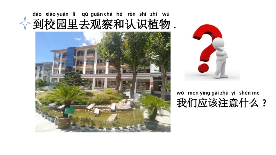 科版一年级科学上册《校园里的植物》 课件2.pptx_第2页