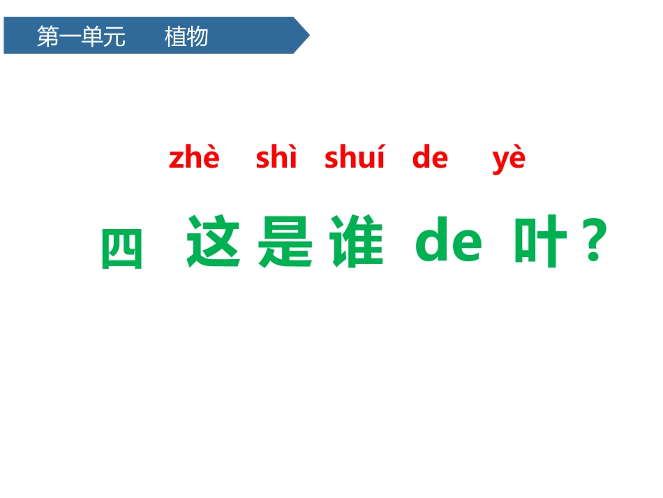 科版一年级科学上册《这是谁的叶_》教学课件 9.pptx_第1页