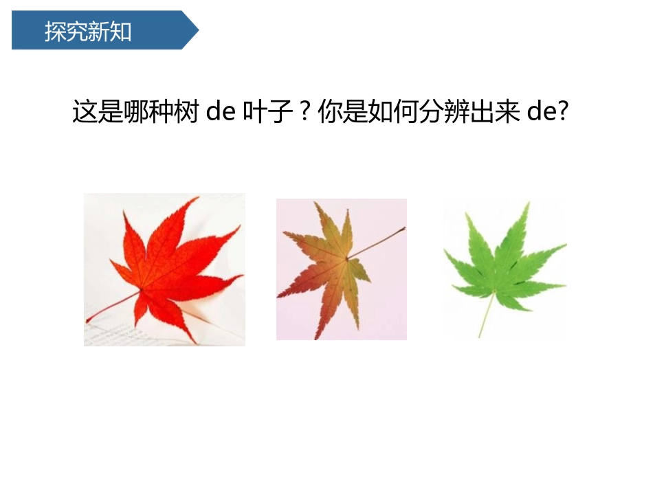 科版一年级科学上册《这是谁的叶_》教学课件 9.pptx_第3页