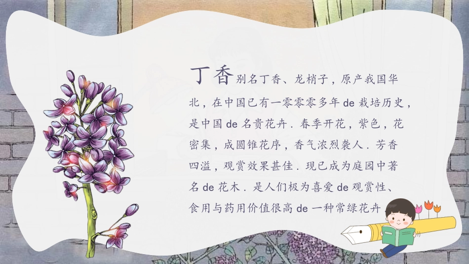 课文《一株紫丁香》赏析.pptx_第2页