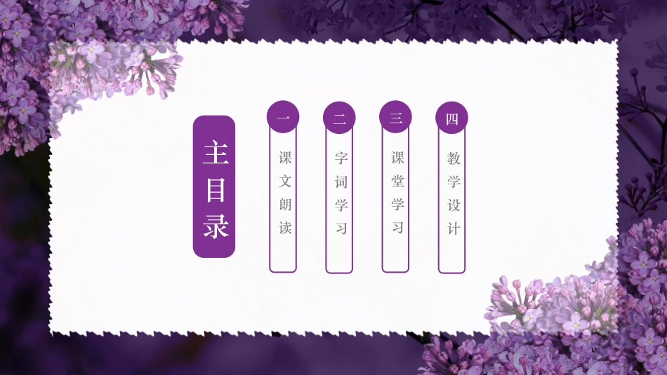 课文《一株紫丁香3》赏析.pptx_第2页