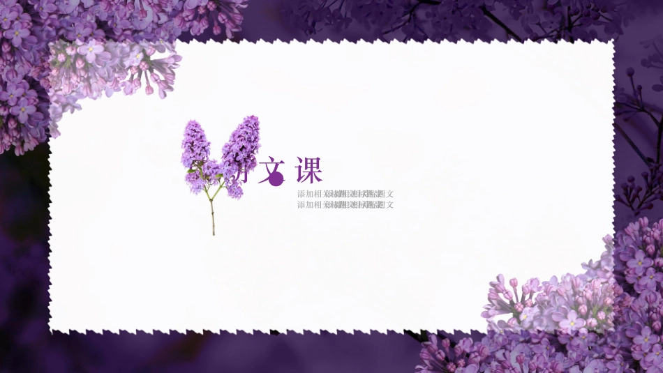 课文《一株紫丁香3》赏析.pptx_第3页