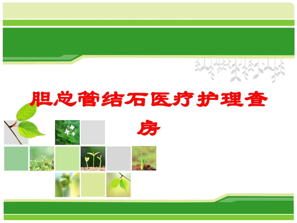 胆总管结石医疗护理查房培训课件.pptx_第1页
