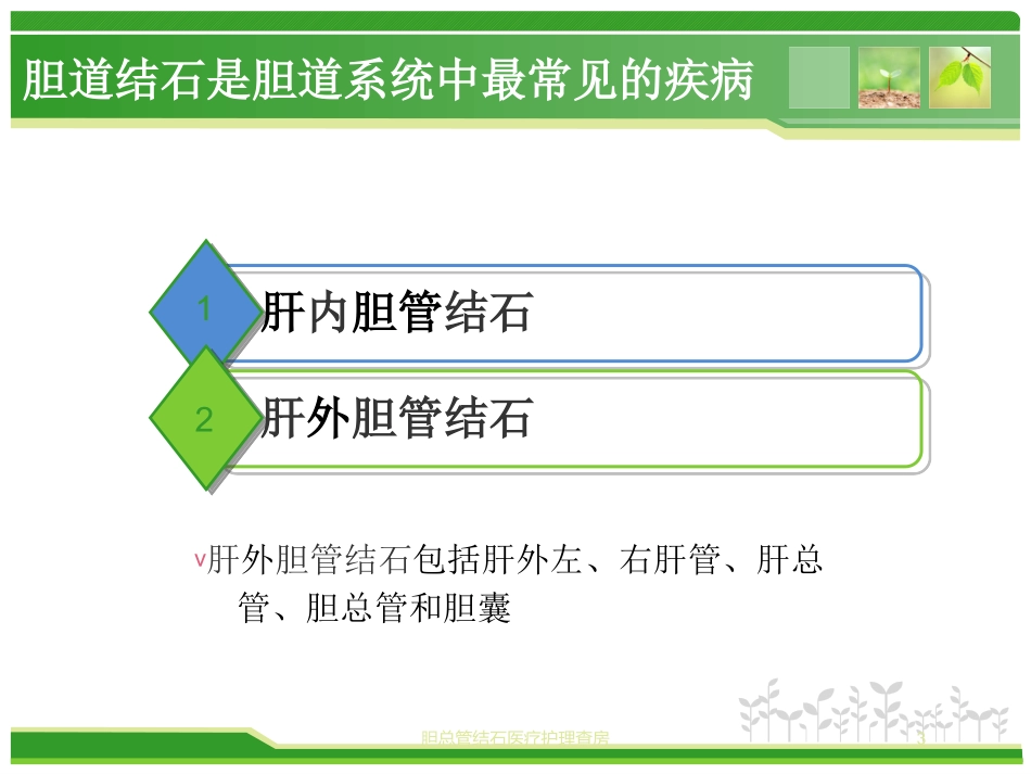 胆总管结石医疗护理查房培训课件.pptx_第3页