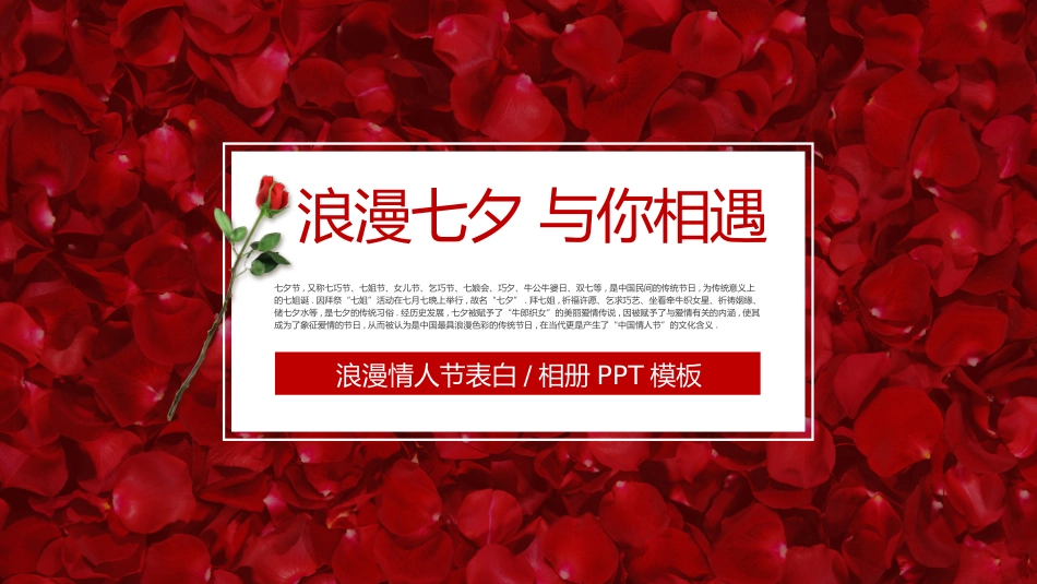 玫瑰浪漫七夕情人节表白相册PPT模板.pptx_第1页