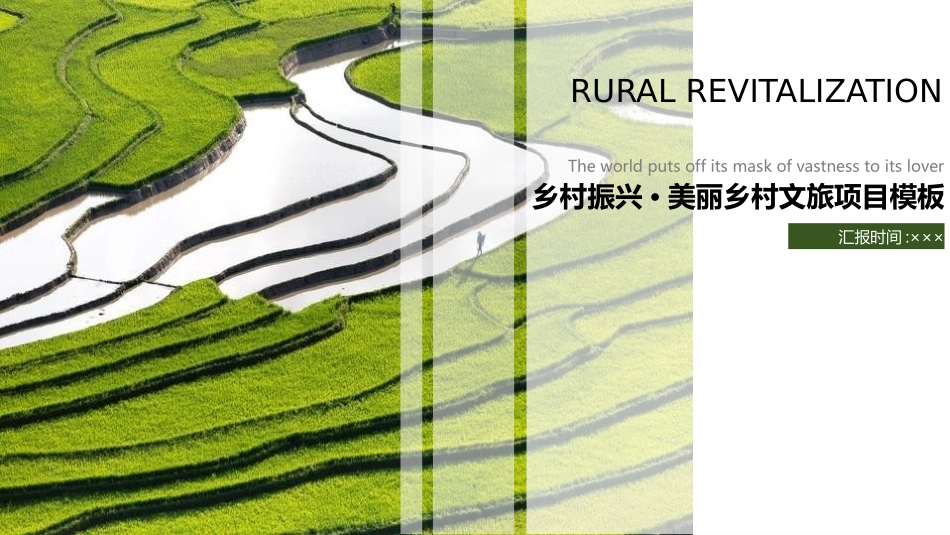美丽乡村振兴规划33.pptx_第1页