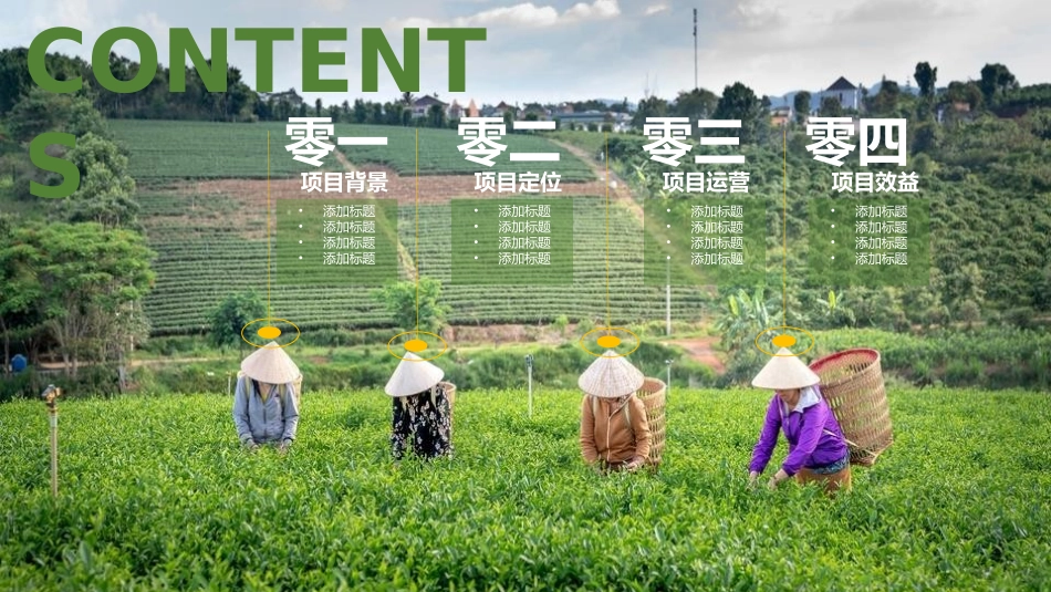 美丽乡村振兴规划33.pptx_第2页