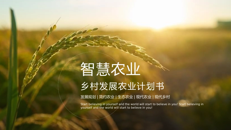 美丽乡村振兴规划50.pptx_第1页