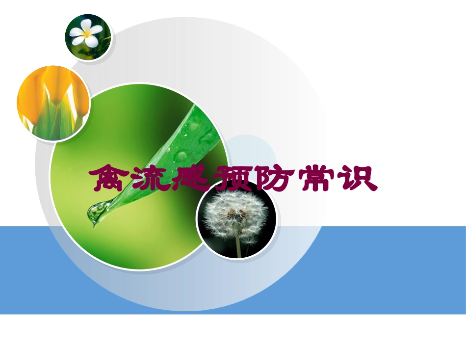 禽流感预防常识培训课件.pptx_第1页