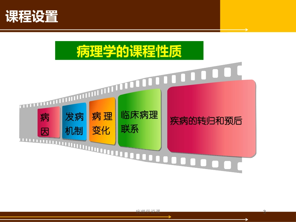 病理学说课培训课件.pptx_第3页