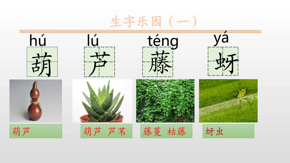 部编版二年级上册语文《我要的是葫芦》课件6.pptx_第3页