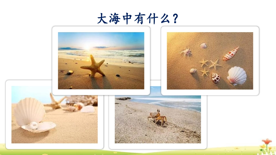 部编版二年级下册语文《贝的故事》课件7.pptx_第3页