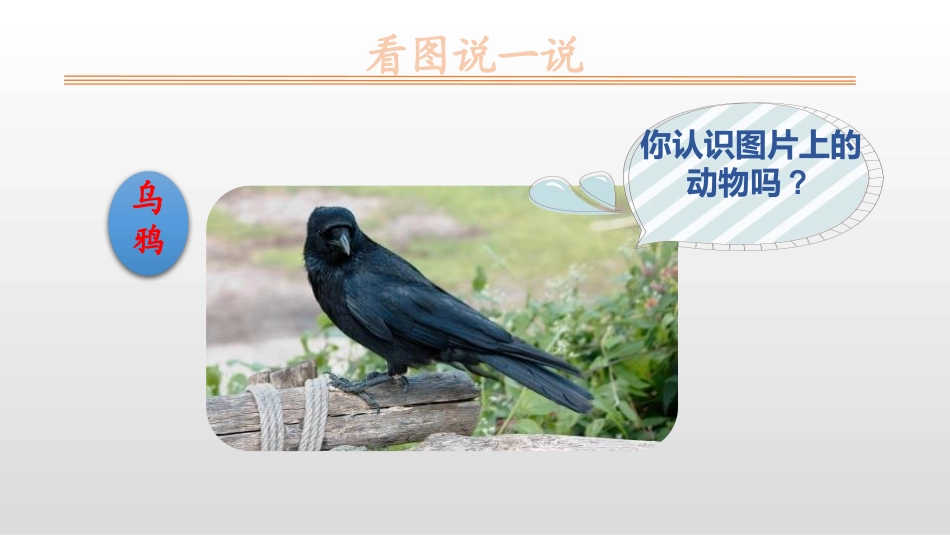 部编版一年级上册语文《乌鸦喝水》课件7.pptx_第2页