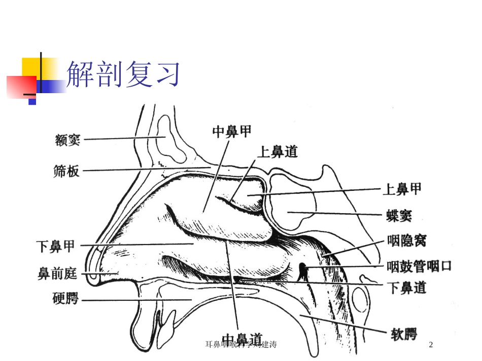 耳鼻咽喉科学刘建涛培训课件.pptx_第2页